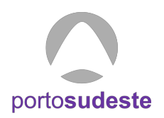 logo-Porto_Sudeste